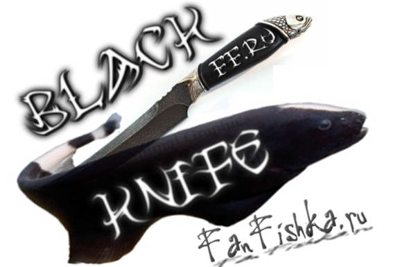 Рыба черный нож: содержание и совместимость с другими аквариумными рыбками