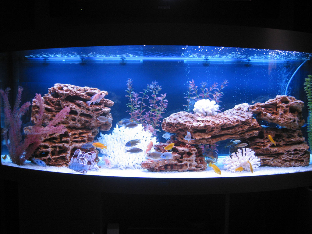аквариумы фото имитация моря