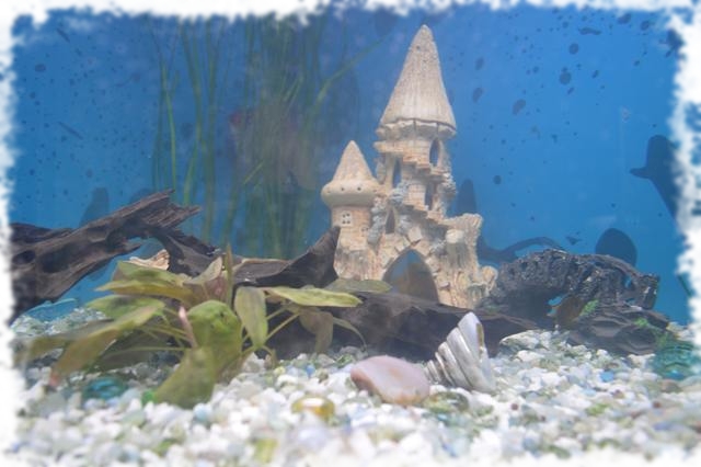 замок в аквариуме