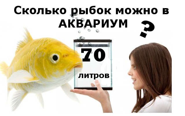 Сколько можно рыбок в аквариум 70 литров