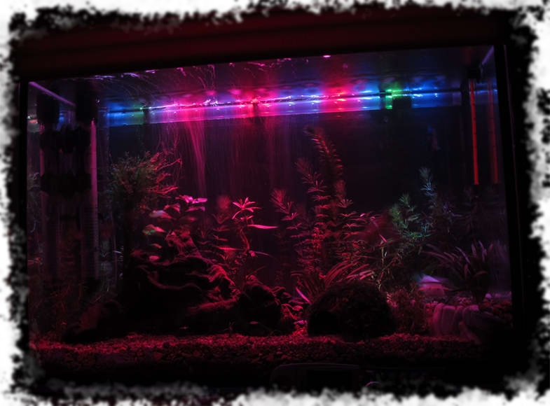 красивая подсветка аквариума
