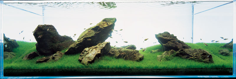 аквариум Такаши Амано с камнями