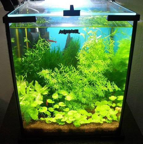 Выбор аквариумного кубика Акваэль