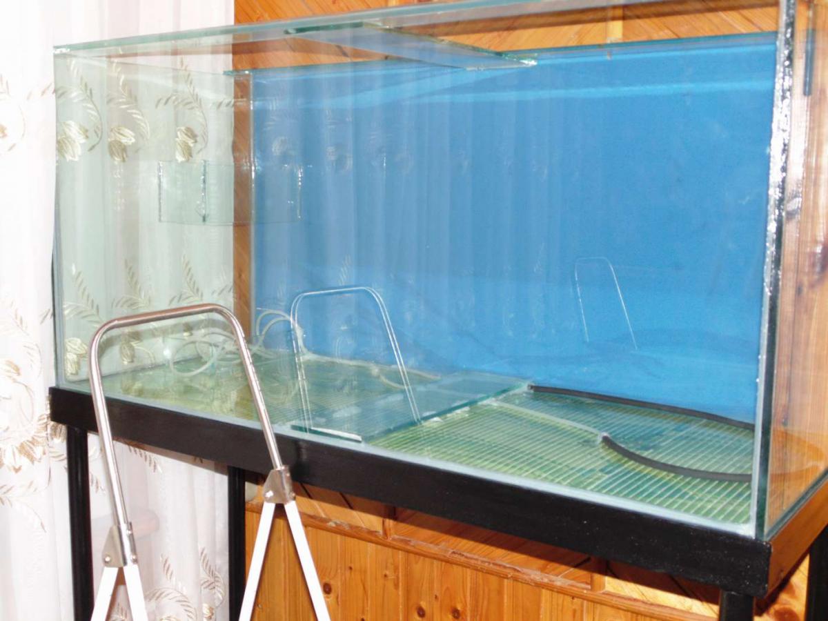 Склейка бескаркасного аквариума своими руками