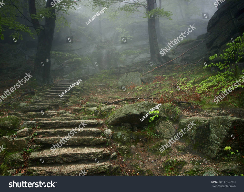 stock-photo-foggy-forest-in-chojnik-mountain-karkonosze-mountain-sudety-mountains-poland-may-117646933.jpg