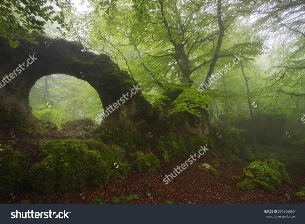 stock-photo-natural-arch-into-a-mysterious-forest-361506650.jpg