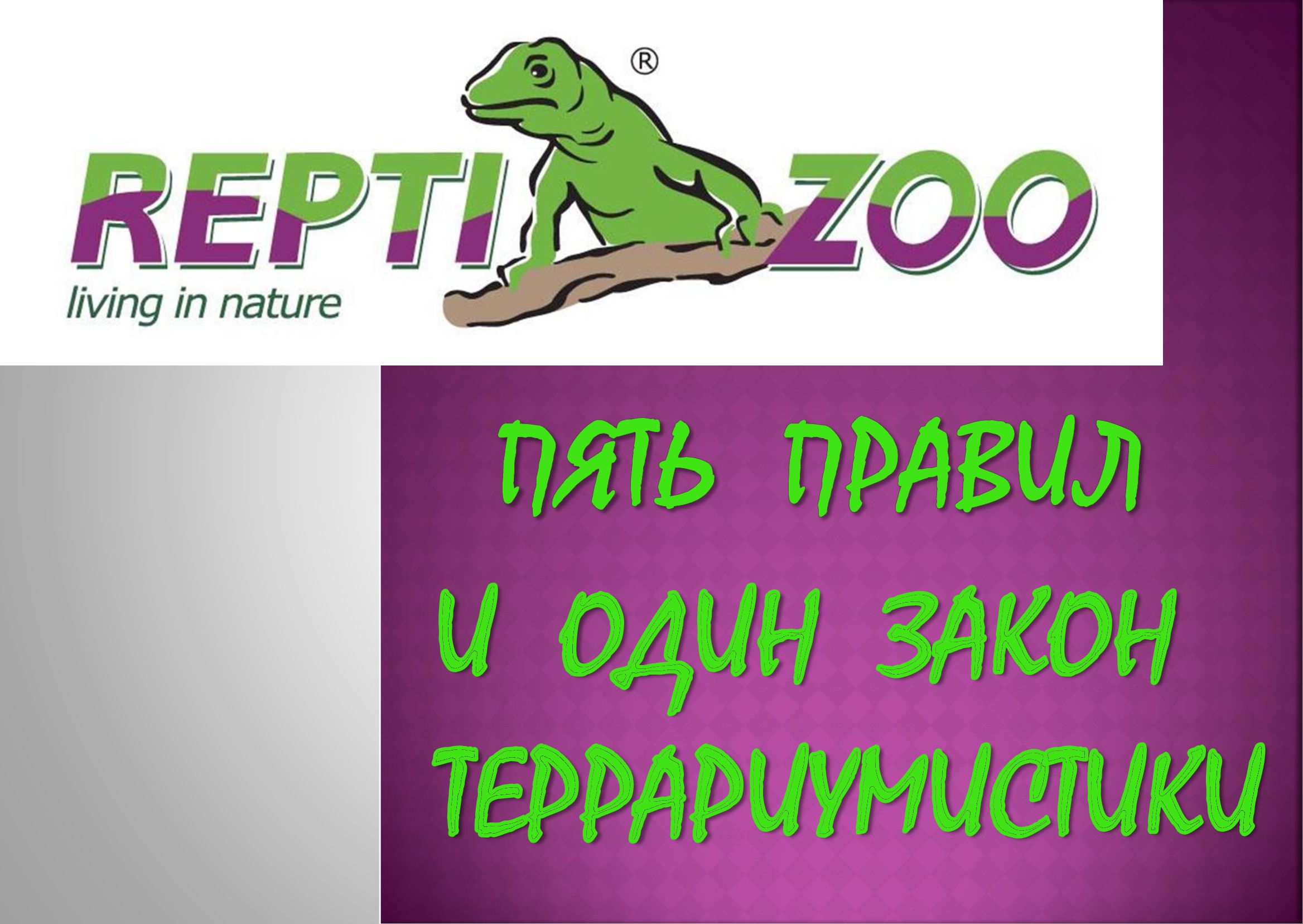 Фанфишка форум. Slogani dlya Zoo.