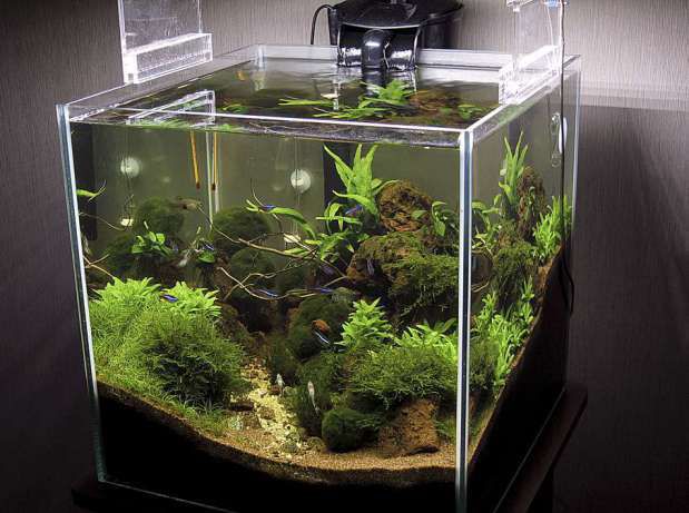 Фильтры для маленьких аквариумов