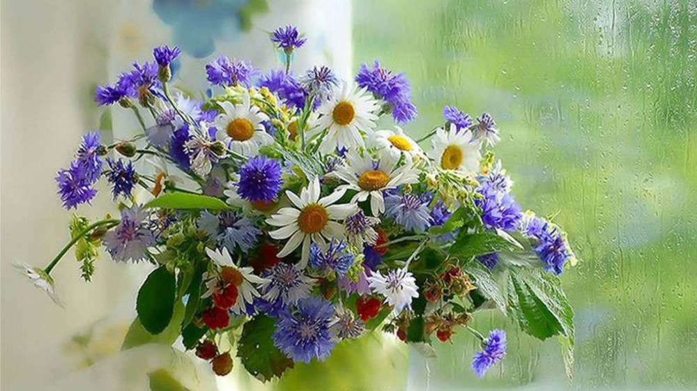 flowers_bouquets_vase_box_rain_glass_drops_berries_21323_1920x1080.jpg