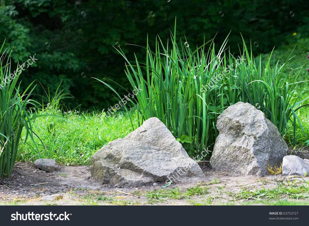 stock-photo-beautiful-landscape-stones-and-leaves-63753727.jpg