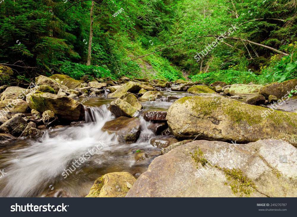 stock-photo-waterfall-in-the-mountain-forest-beautiful-background-of-stone-water-moss-249270787.jpg