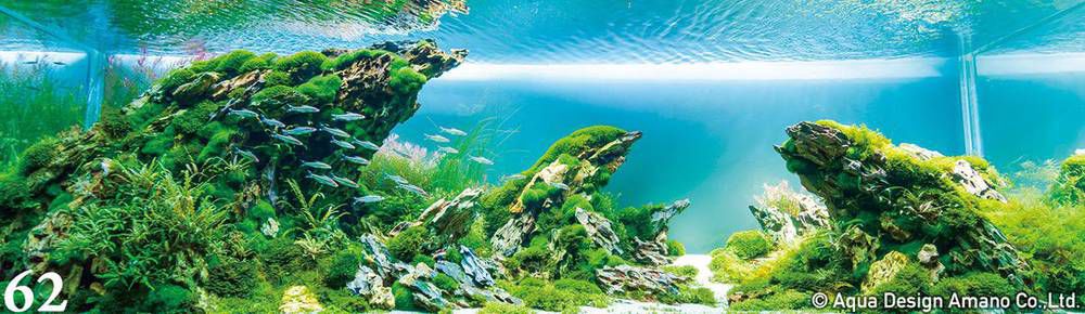 аквариум травник красиво