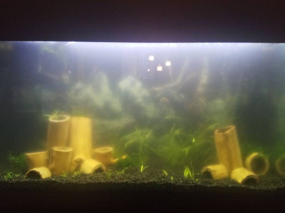 общий вид.jpg