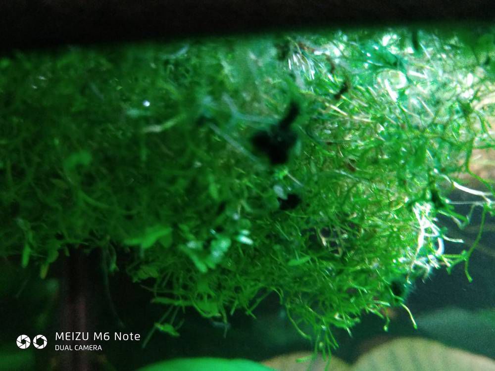 P90206-202633 (1).jpg