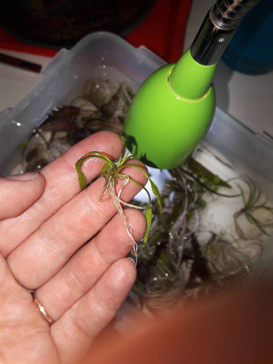 20191013_205406.jpg