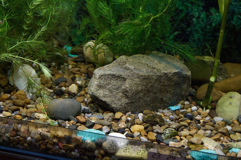 Аква камень.jpg