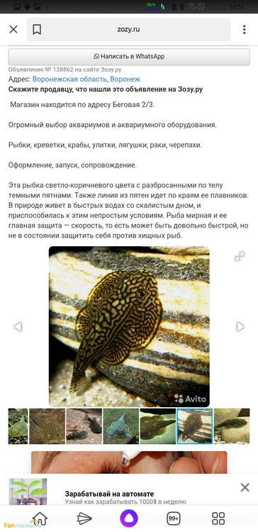 Screenshot_20200811-162436_Yandex.png