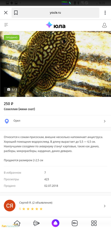 Screenshot_20200811-162505_Yandex.png