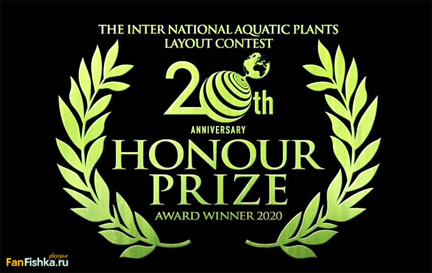 IAPLC-2020-honour-prizes.jpg