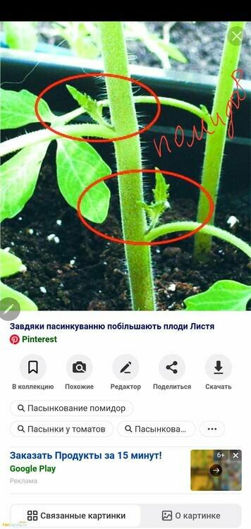 Screenshot_20210507-205207_Yandex.jpg