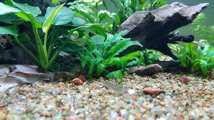 photo_2022-02-28_17-49-36 (2).jpg