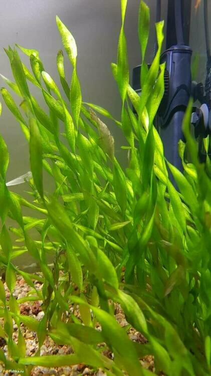 photo_2022-02-28_17-49-37 (2).jpg