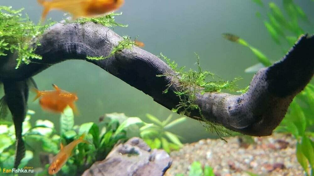 photo_2022-02-28_17-49-37 (3).jpg