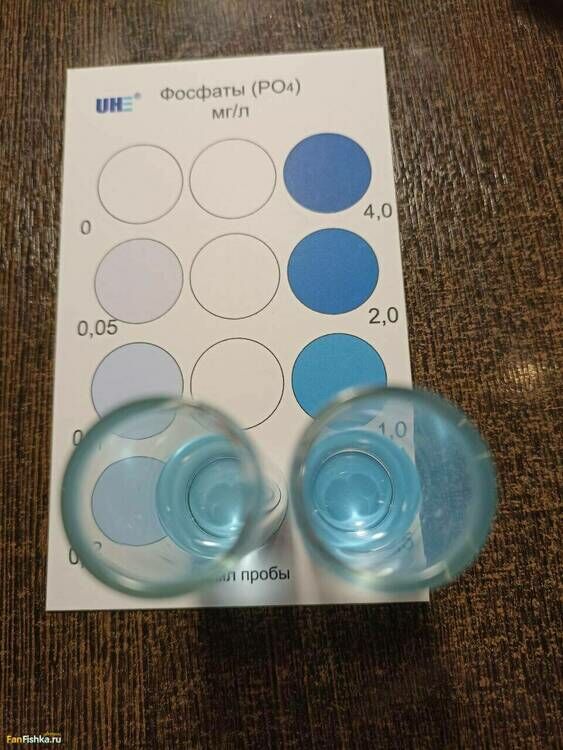 <a class='ff-auto-link'href='https://fanfishka.ru/forum/topic/7121-fosfaty-v-akvariume-kak-ponizit-povysit-ih-sootnoshenie-s-nitratami/' target='_blank'title='Статья на сайте ФФ' >фосфаты</a> 21.02.jpg
