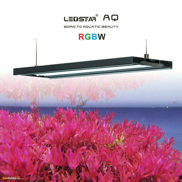 LEDSTAR-AQ-Z-RGBW.jpg