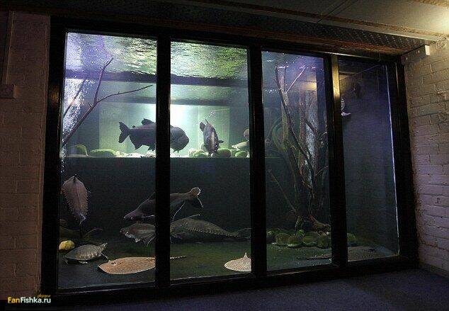 akvarium.jpg