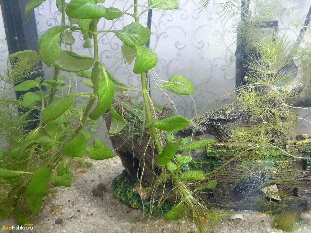 photo_2023-05-31_15-00-22 (2).jpg