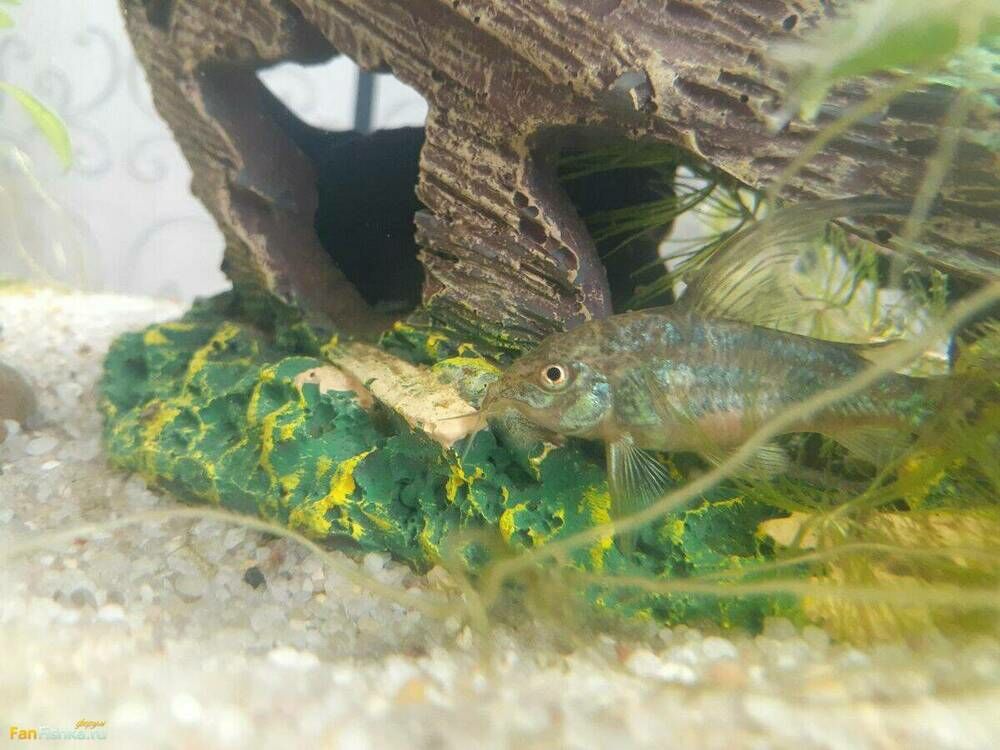 photo_2023-05-31_15-00-22 (3).jpg