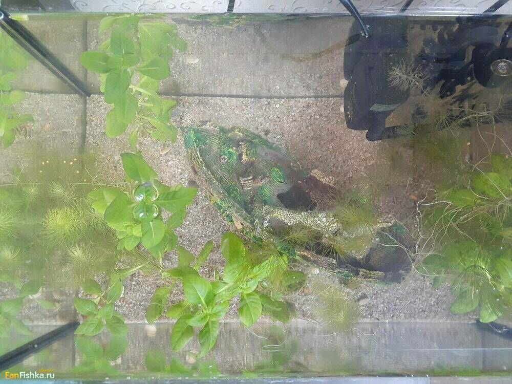 photo_2023-05-31_15-00-26 (2).jpg