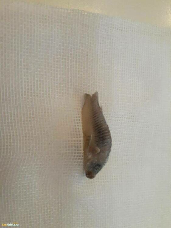 photo_2023-05-31_15-00-26 (3).jpg