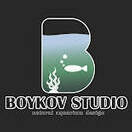 Boykov studio