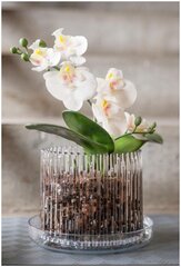 Кашпо для орхидей корона — купить по низкой цене на Яндекс Маркете