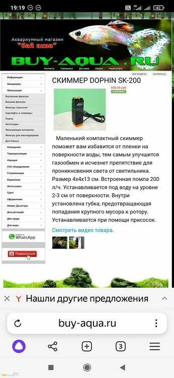 Screenshot_2024-07-01-19-19-51-772_com.yandex.browser.jpg