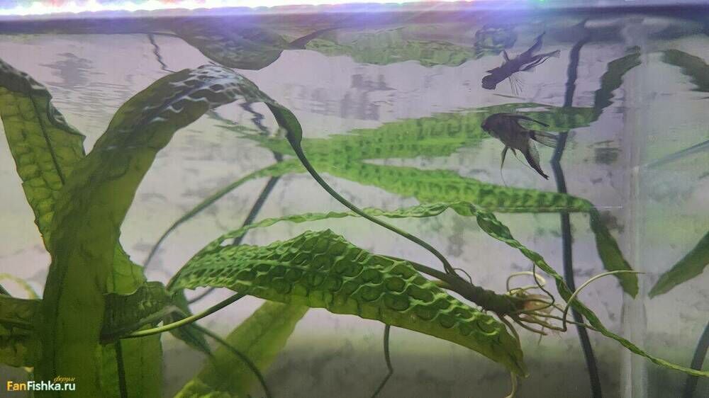 2024-08-15 15-31-53.JPG