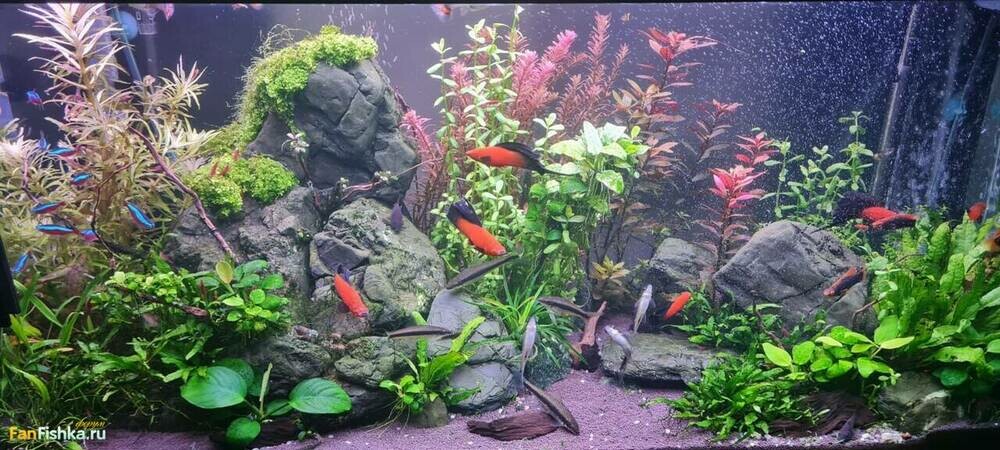 WhatsApp Image 2024-09-29 at 21.33.48 (3).jpeg