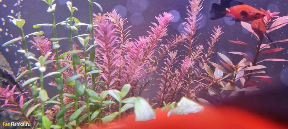 WhatsApp Image 2024-09-29 at 21.33.48 (2).jpeg