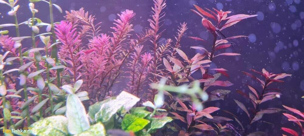 WhatsApp Image 2024-09-29 at 21.33.48 (1).jpeg