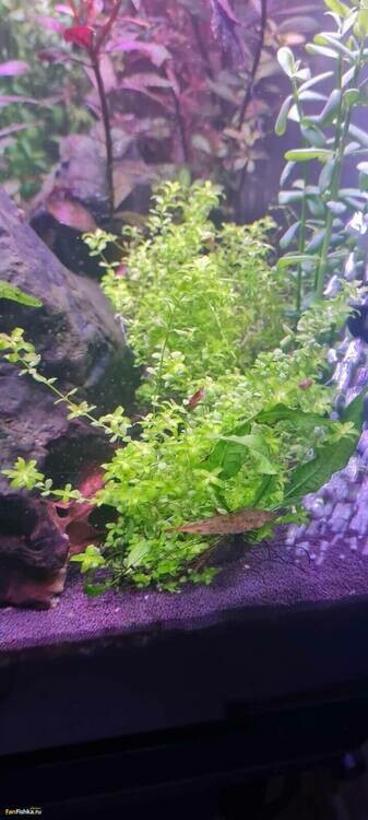 WhatsApp Image 2024-09-29 at 21.33.48.jpeg