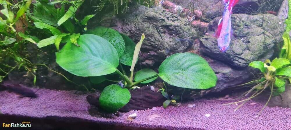 WhatsApp Image 2024-09-29 at 21.33.47 (1).jpeg