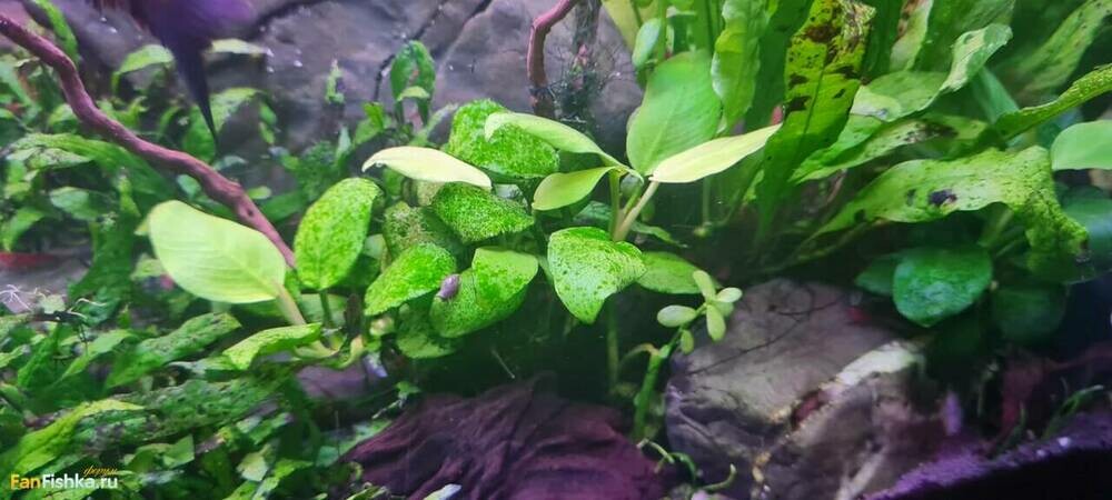 WhatsApp Image 2024-09-29 at 21.33.47.jpeg