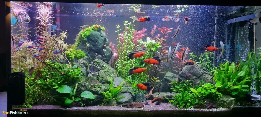 WhatsApp Image 2024-09-30 at 21.05.41.jpeg