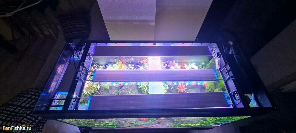 WhatsApp Image 2024-09-30 at 21.05.41 (1).jpeg