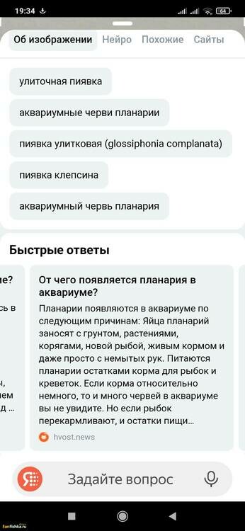 Screenshot_2024-10-05-19-34-00-827_com.yandex.browser.thumb.jpg.dda022619ddefa716f0a588f35f21a3c.jpg