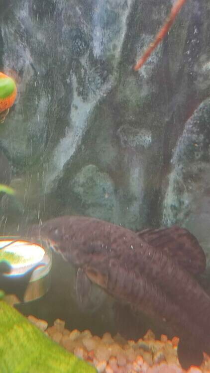 WhatsApp Image 2024-12-17 at 14.29.26.jpeg