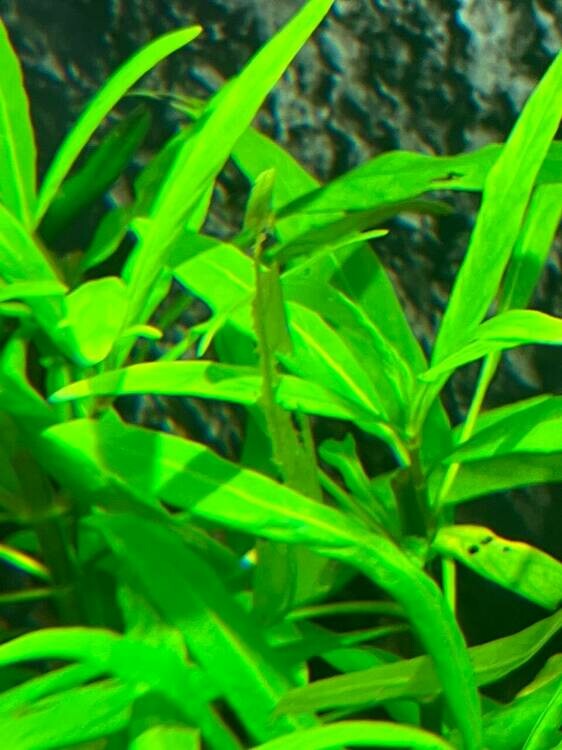 photo_2025-01-23_19-20-21 (2).jpg