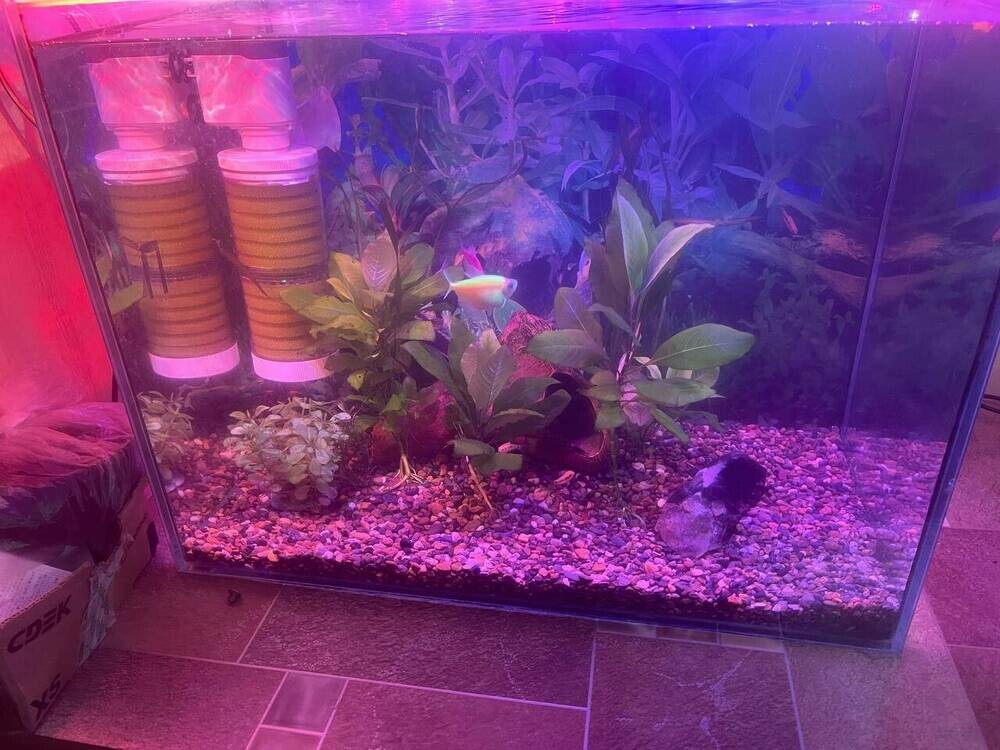 photo_2025-01-24 20.48.47.jpeg